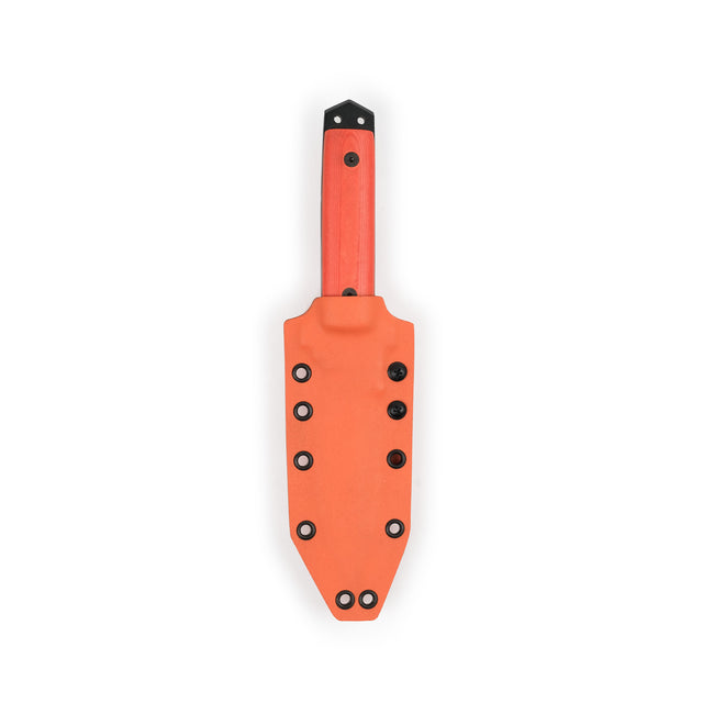 Cogent PB - 03