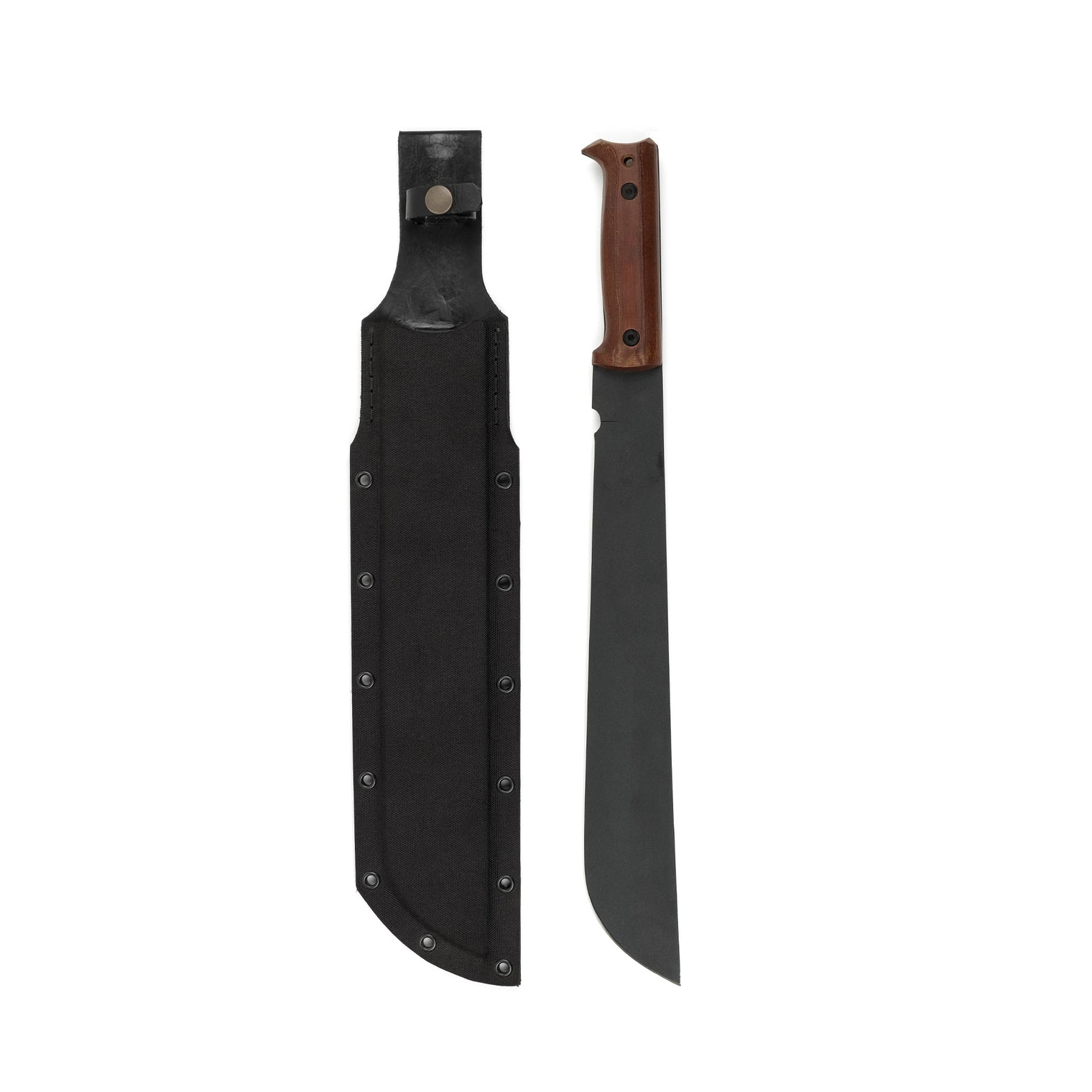 Cogent PB - 08