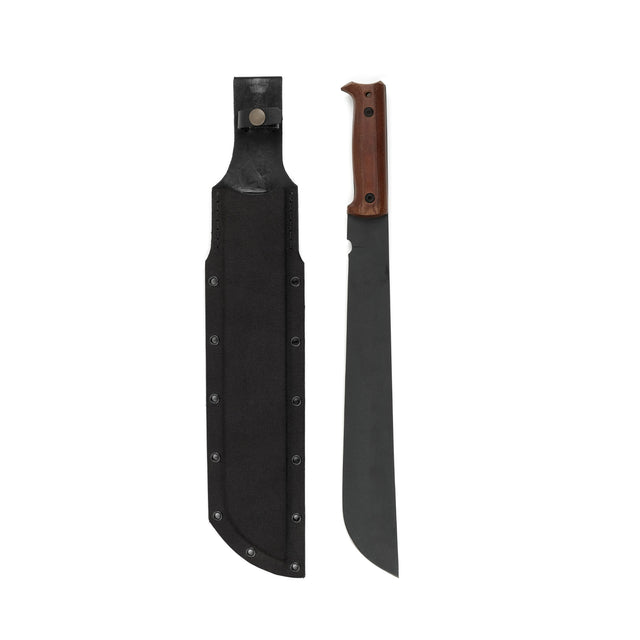Cogent PB - 08