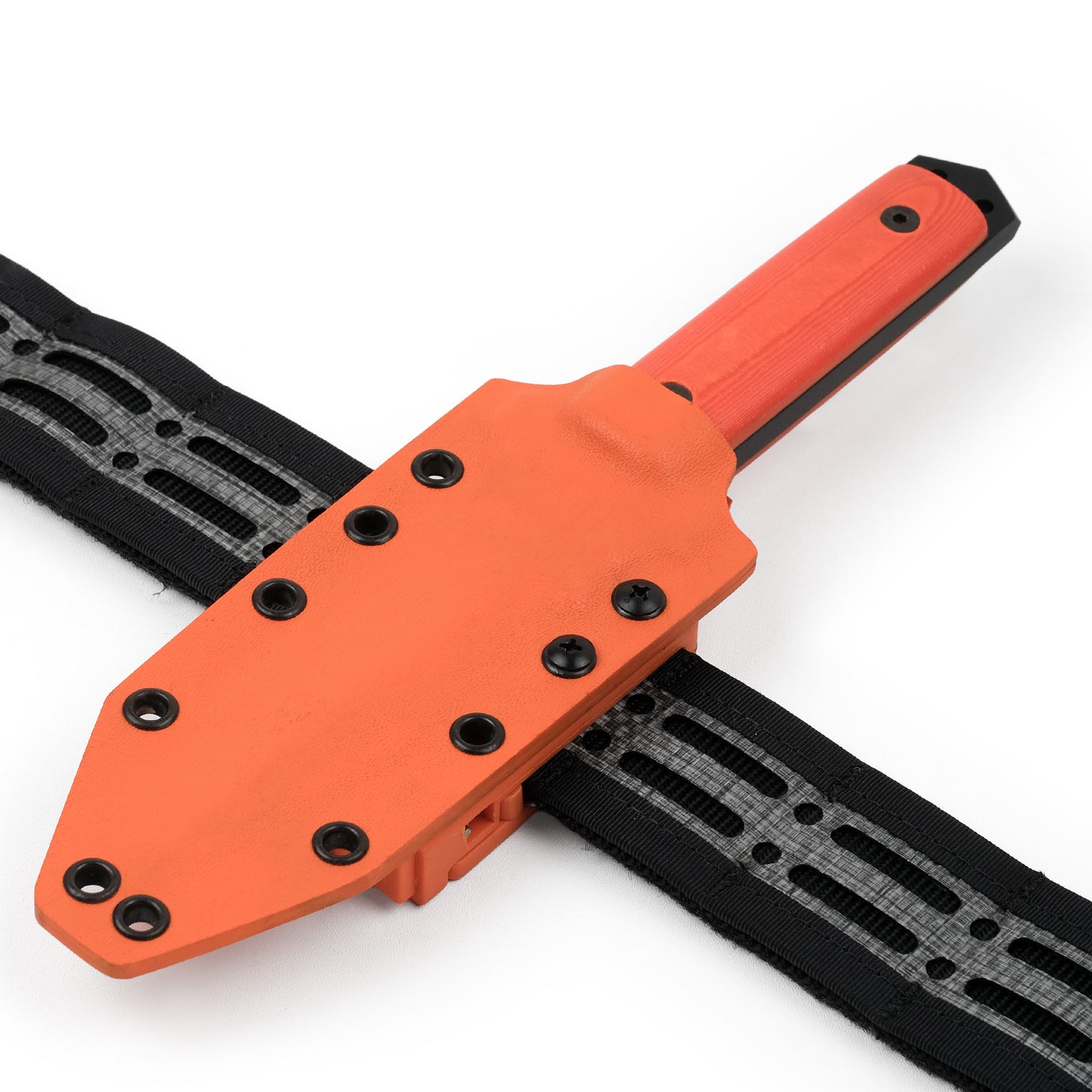 Cogent PB - 03