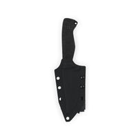 Cogent PB - 04