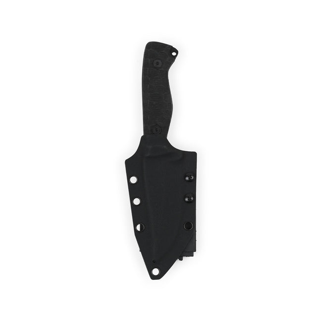 Cogent PB - 04