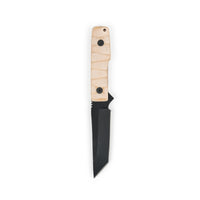 Cogent PB - 07