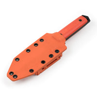 Cogent PB - 03
