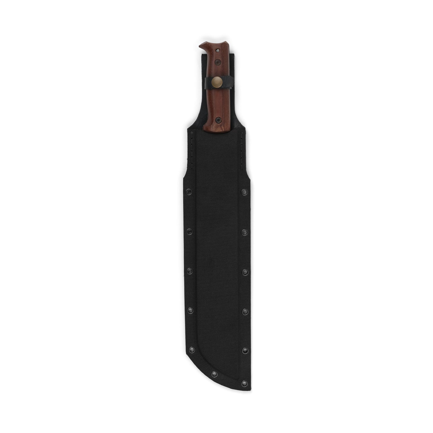 Cogent PB - 08