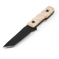 Cogent PB - 07