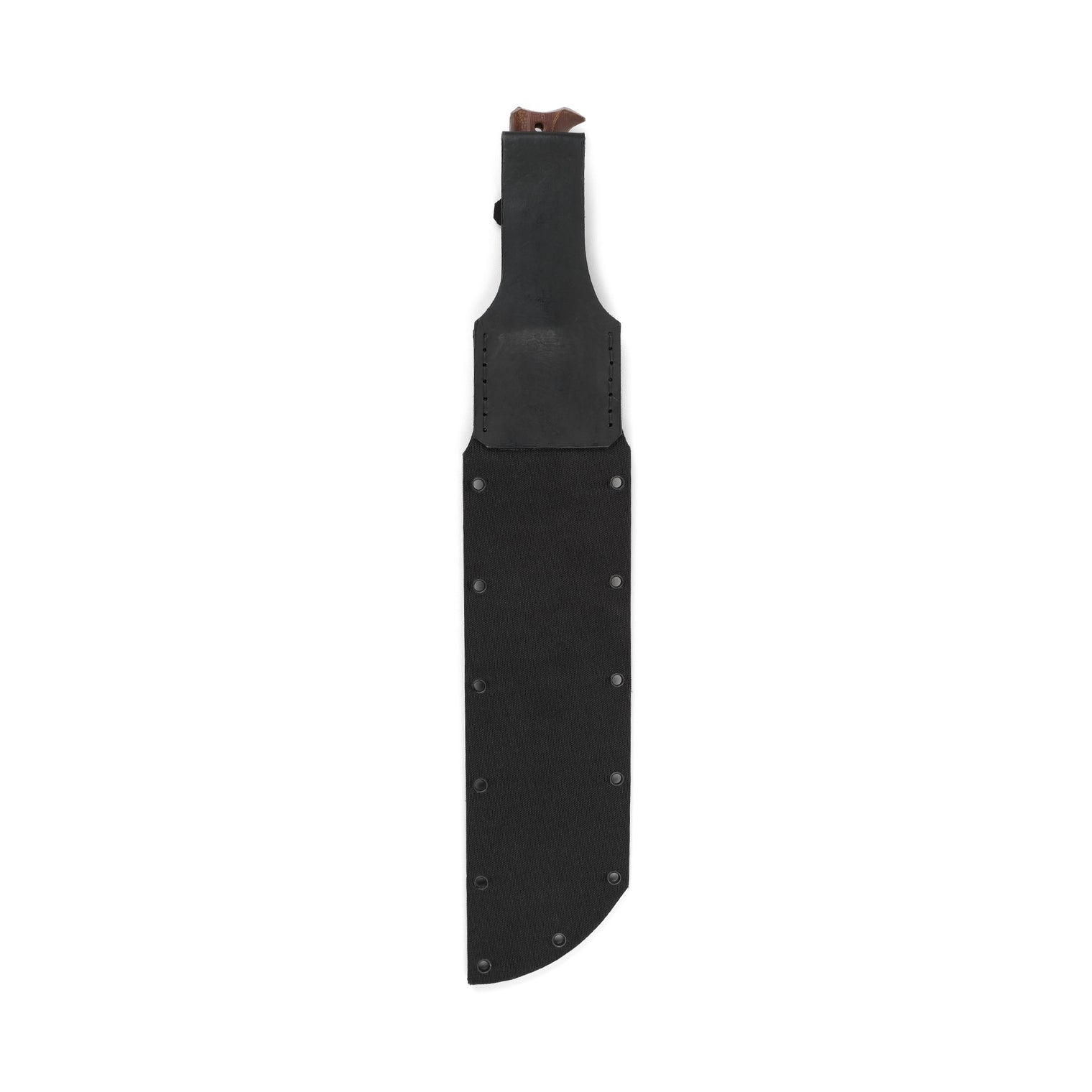 Cogent PB - 08