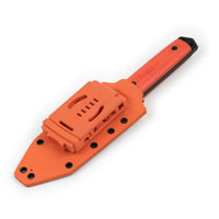 Cogent PB - 03