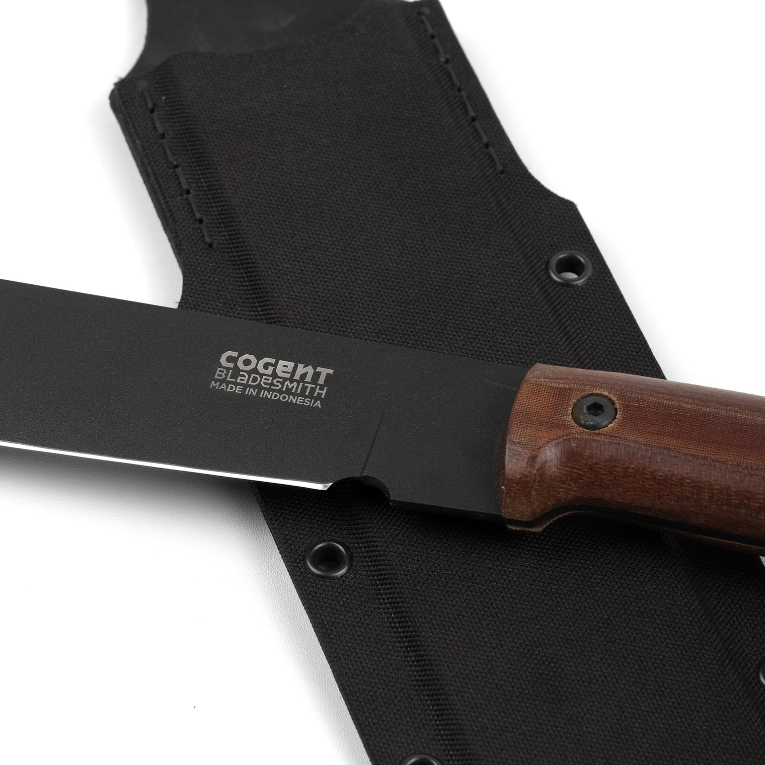 Cogent PB - 08