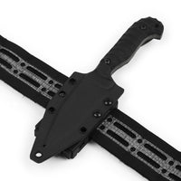Cogent PB - 02