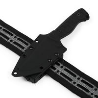 Cogent PB - 04