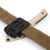 Cogent PB - 06