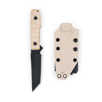 Cogent PB - 07