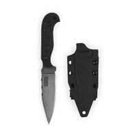 Cogent PB - 02